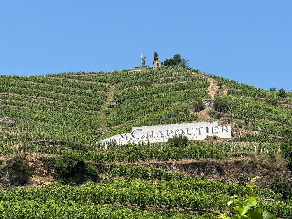 The Chapoutier vineyard hillside in the Rhône Valley