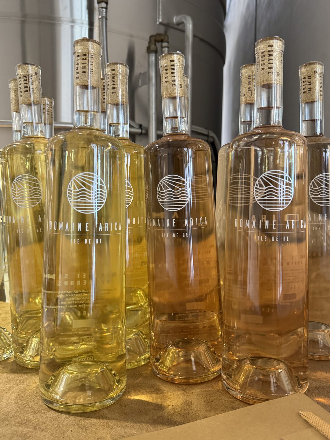 A line of Domaine Arica white and rosé bottles with screen-printed designs and printed corks, in the winery