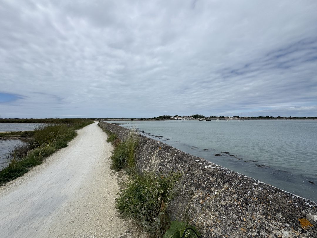 A gravel cycle path running along a low stone sea wall, marsh water to one side and the sea to the other, on Île de Ré