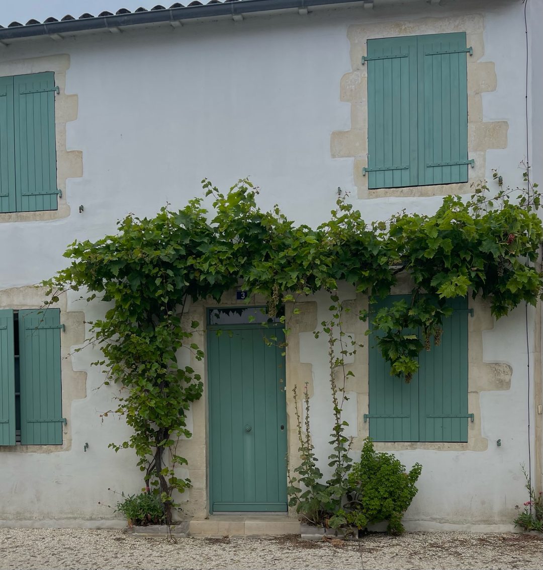 A low white house on Île de Ré with green shutters and a vine growing over the door