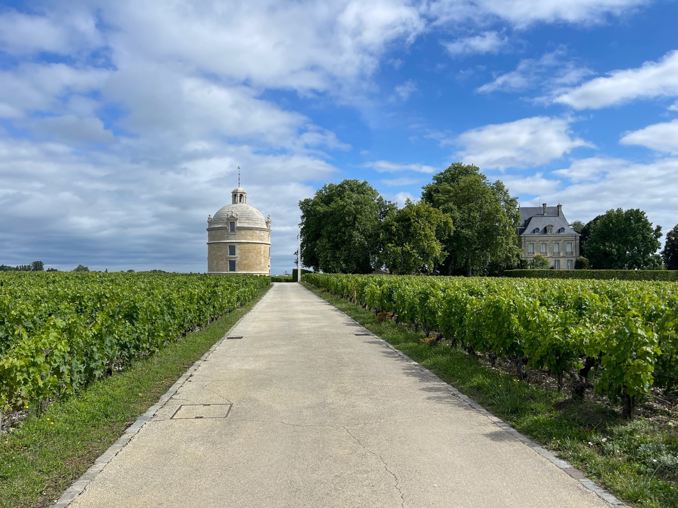 La Tour: arrival through the vineyards, Bordeaux