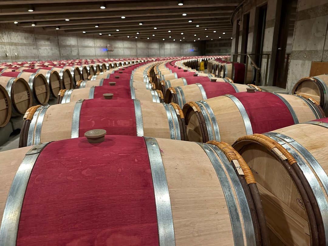 The Grand Chai at Opus One: French oak barriques curving away in a single row under low, warm light