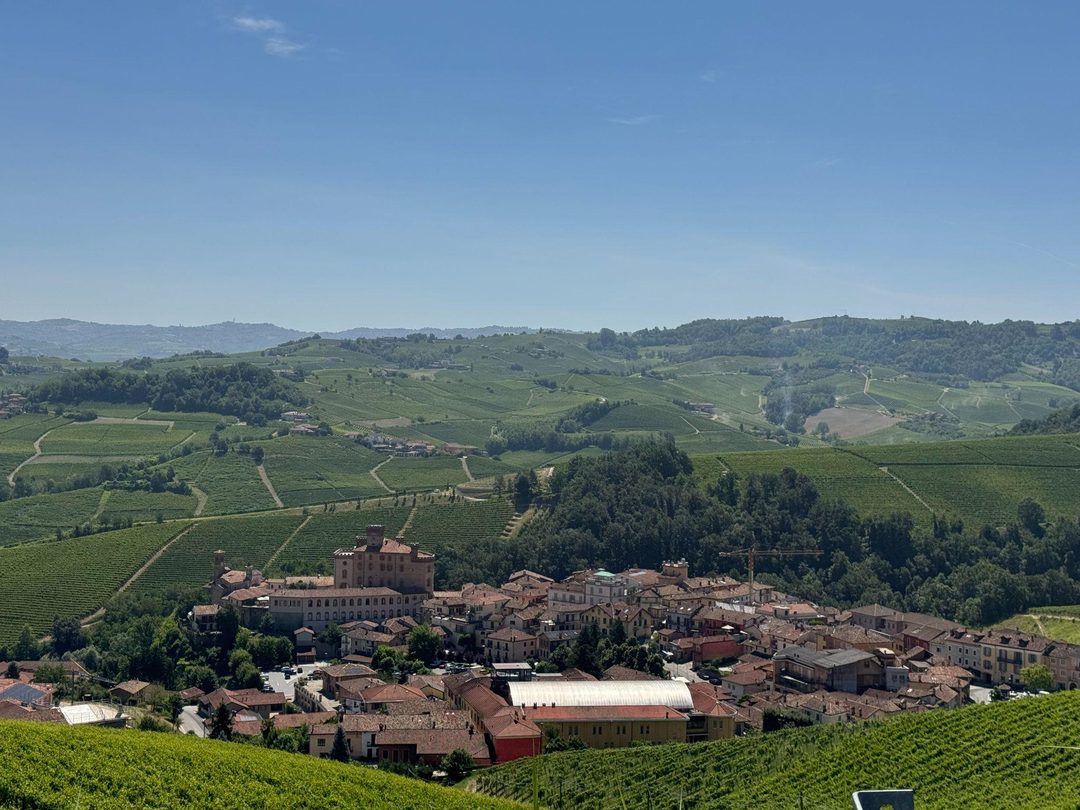 The village of Barolo and its castle surrounded by rows of Nebbiolo vines under a blue sky